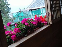 -有一锅·野生菌黑山羊腊排骨火锅(古城北门店)