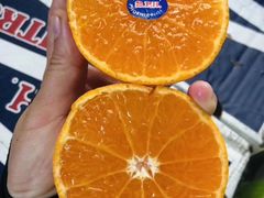 -上海龙吴水胜海发市场