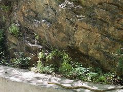 -北京上方山国家森林公园