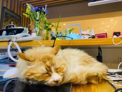 -沫儿·美甲美睫·半永久·皮肤管理