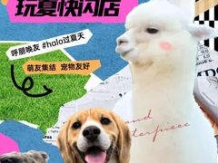 -HALO广场(梨园路店)