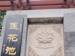 -莲花池公园