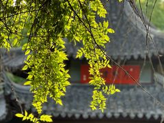 -西园戒幢律寺