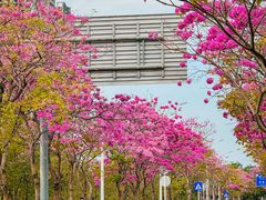 -万科前海企业公馆