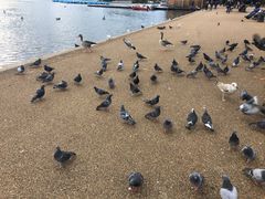 -海德公园