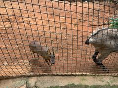 -昆明动物园
