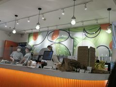 -油梨树 AVOCADO TREE(亮马桥店)