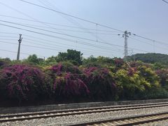 -莆田站