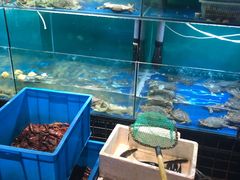 -浙C老邻舍(西城海错店)