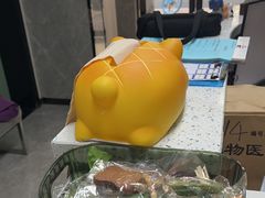 -半岛宠物医院24小时(白果林店)