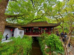 -上海醉白池公园