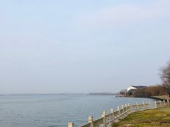 -溱湖国家湿地公园