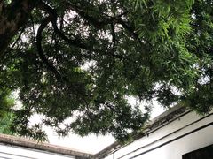 -蒋氏故居