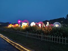 -大塘金香草谷
