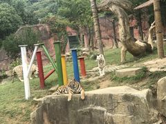 -无锡动物园·太湖欢乐园