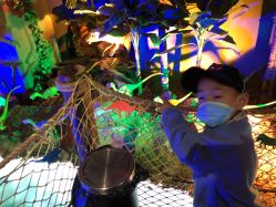 -恐龙探索乐园(磁器口店)