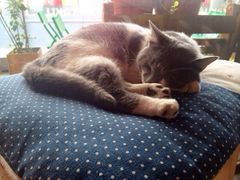 iphone_upload_pic-MIKAKU(万达广场上海宝山店)