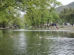 -鹿亭中村
