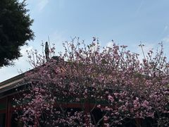 -宝墨园景区