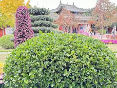 -中国翰园碑林
