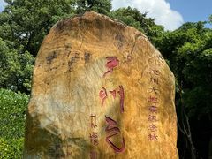 -番禺大夫山森林公园