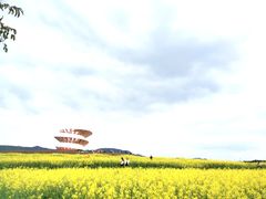 -光明小镇欢乐田园