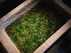 -觀芷隐轩