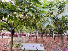 -歌斐颂巧克力小镇