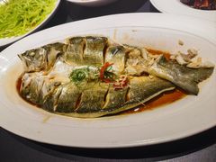 清蒸鲈鱼-起源小厨(应天门店)