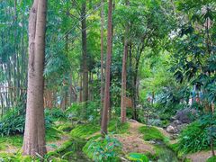 -成都市活水公园