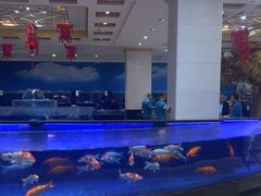 -鹏天阁酒楼·海鲜(红旗店)