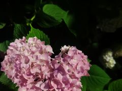 -常州古运河南大街文化旅游区-人民公园