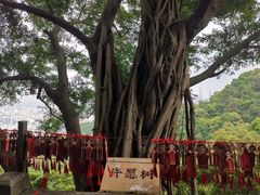 -广州市白云山风景名胜区