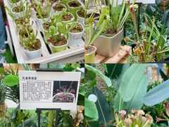 -武汉荟聚