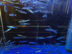 -翠府(翠湖北路店)