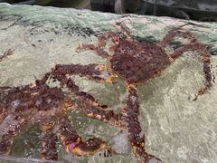 -白金汉爵大酒店·中餐厅(相城店)