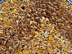 -双喜农庄·菌香园(安居家园店)