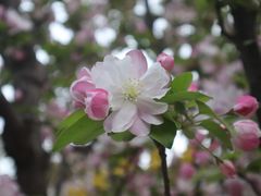 -元大都城垣遗址公园