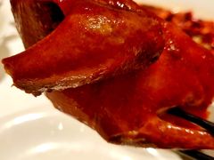 金奖玻璃乳鸽-茉里粤菜(皇姑万象汇店)