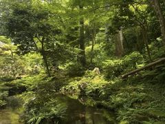 -三千院