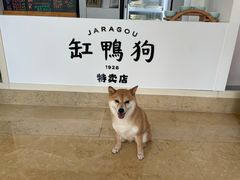 -宁波九龙湖开元度假村