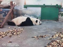 -无锡动物园·太湖欢乐园