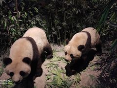 -长江文明馆