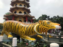 -龙虎塔