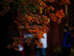 -香山公园-东宫门售票处