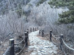 -阳台山自然风景区