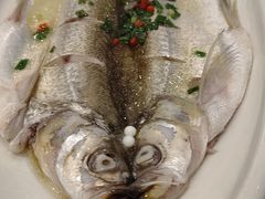清蒸白鱼-锡和无锡菜(景丽苑店)