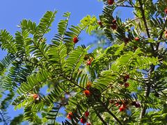 -上庄晋风庄园(上庄店)