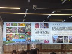 -野菌皇海景野生菌火锅(滨海大道店)