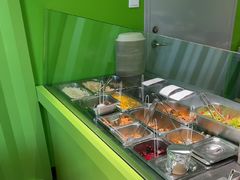 -油梨树AVOCADO TREE(顺义新国展店)